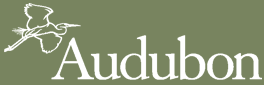 AudubonLogo