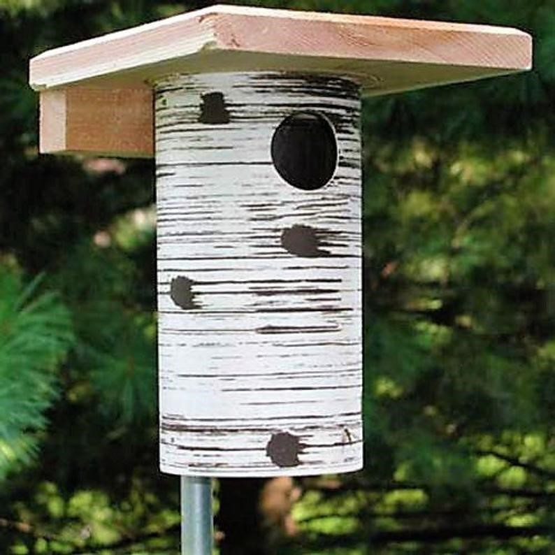 nest-box-plans-more-bluebird-recovery-program-of-minnesota