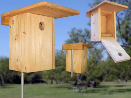 bluebird nest box plans