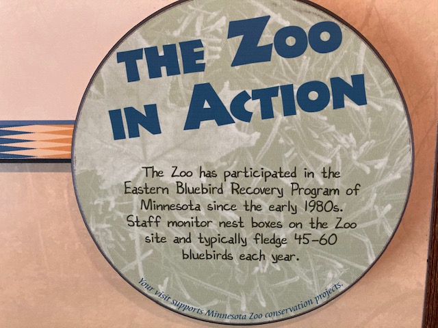 Minnesota Zoo - 1